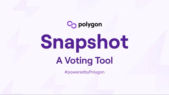 Polygon Bolsters Validator Governance With Snapshot Voting