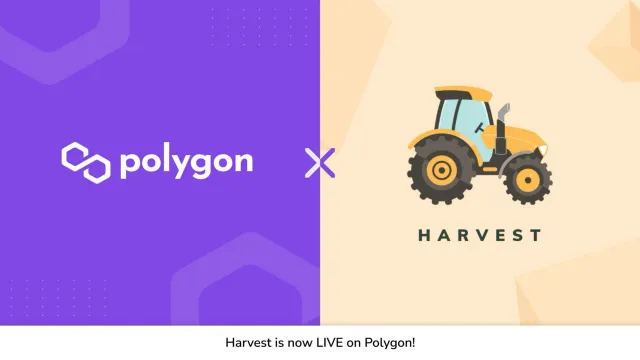 yield farming harvest launch on polygon crypto