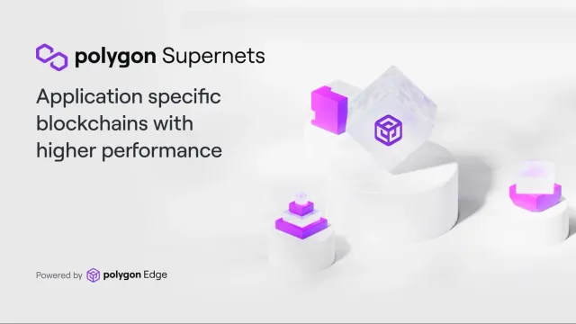 PolygonInsights - WEEK15