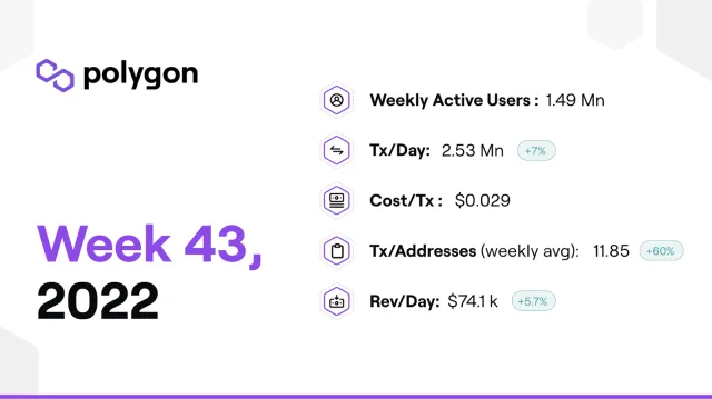 PolygonInsights - WEEK43