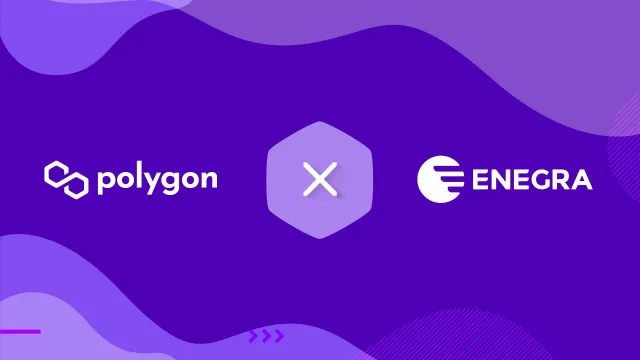 Polygon energa