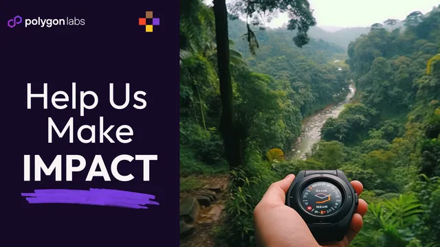 Help Us Make a Difference: PolygonImpact Questionnaire