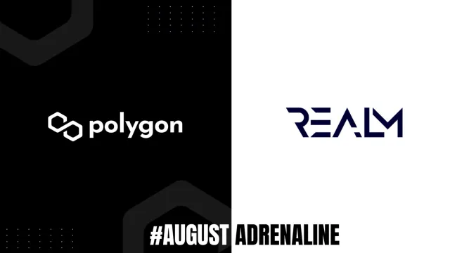 Realm art a nft platfotm launched on polygon crypto