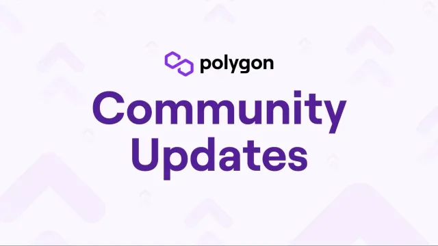 Lessons Learned From Recent Outage of Polygon PoS