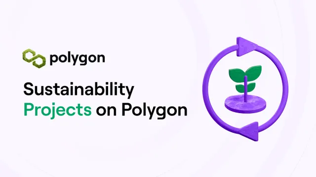 Meet Projects Tackling Climate Change on Polygon