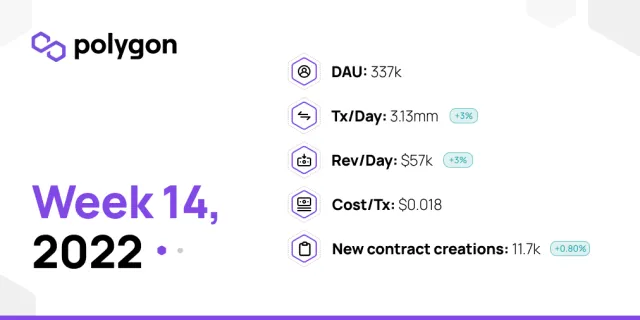 PolygonInsights - WEEK14