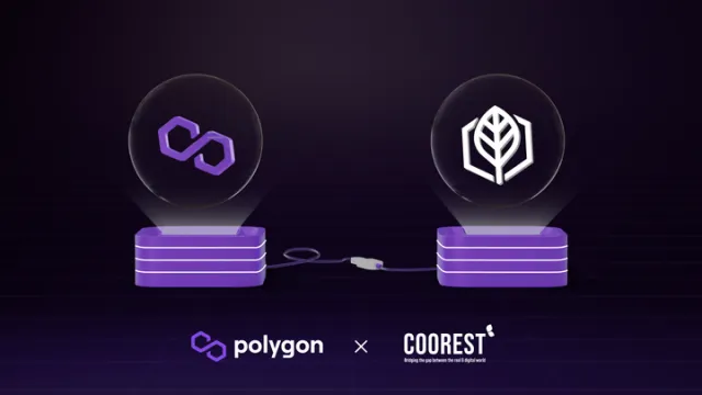 polygon-coorest