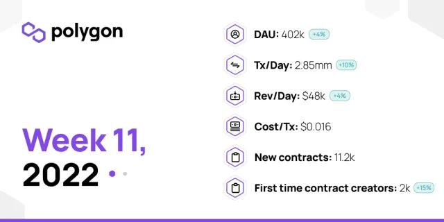 PolygonInsights - WEEK11