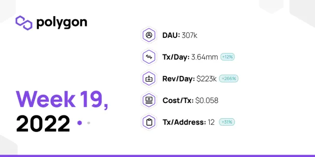 PolygonInsights - WEEK19