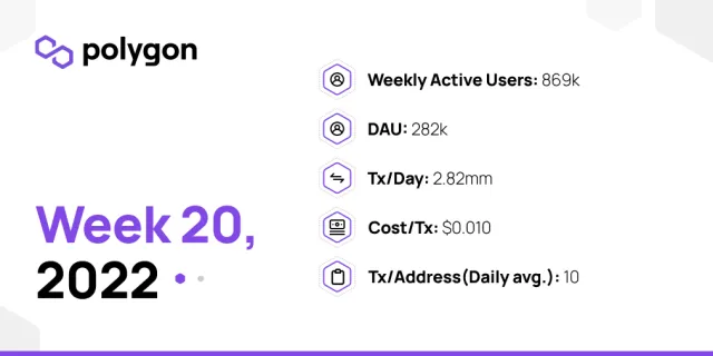 PolygonInsights - WEEK20