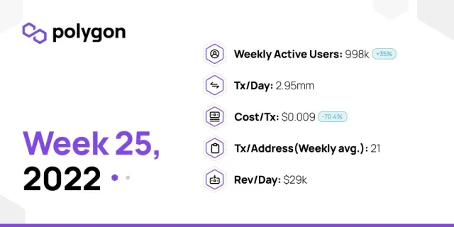 PolygonInsights - WEEK25