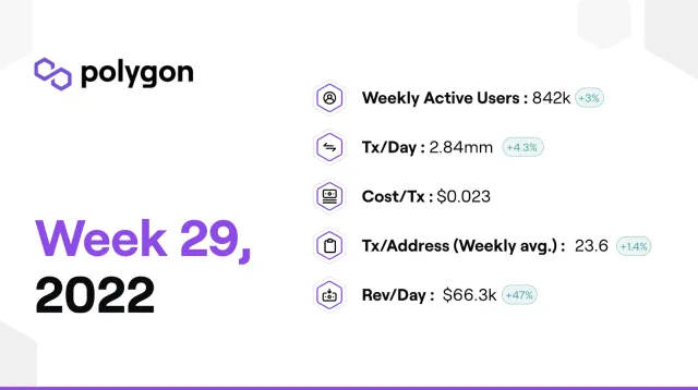 PolygonInsights - WEEK29