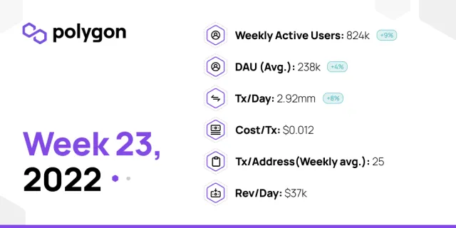 PolygonInsights - WEEK23