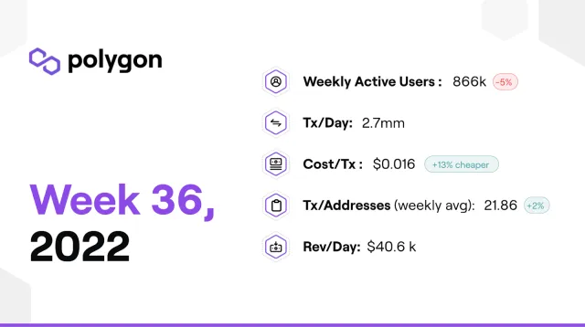 PolygonInsights - WEEK36