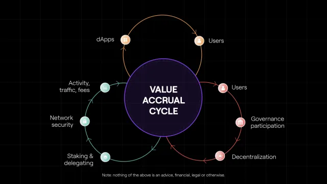the_lives_of_tokens_polygon|the_many_lives_of_tokens_polygon|the many lives of tokens polygon