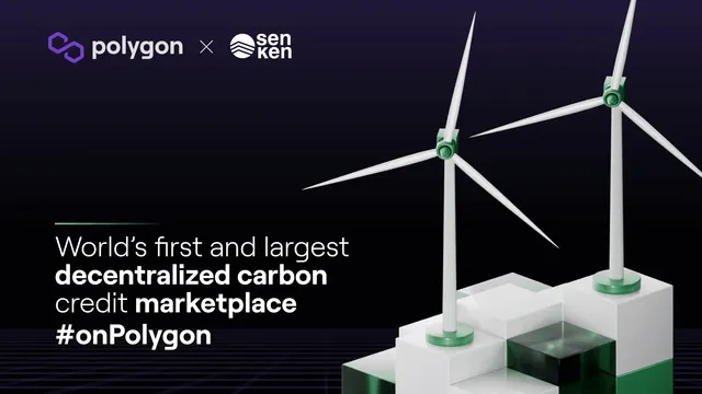 Polygon-Senken||