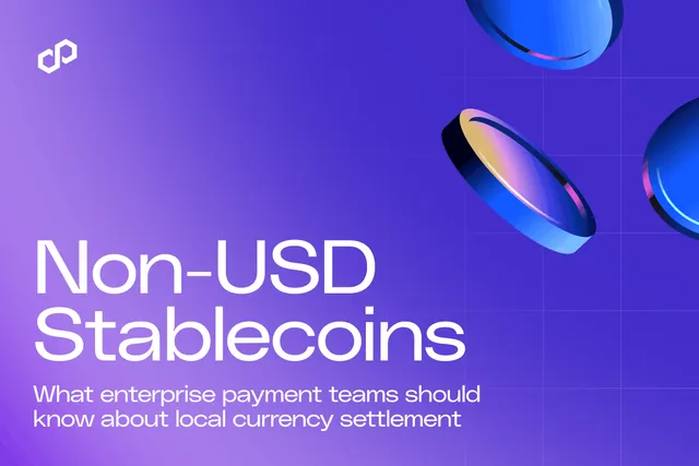 Non-USD Stablecoins: What Enterprise Payment Teams Should Know About Local Currency Settlement
